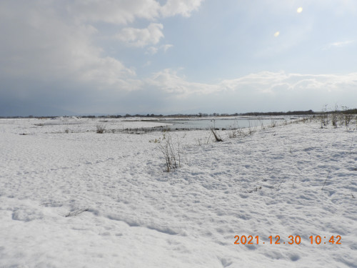 DSCN1019.JPG