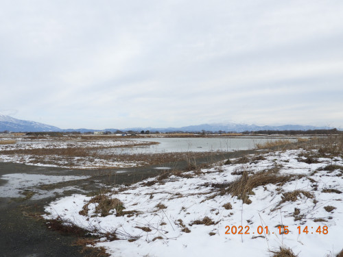 DSCN1662.JPG