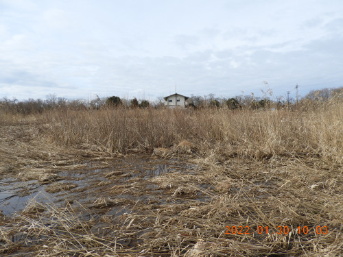 DSCN2046.JPG