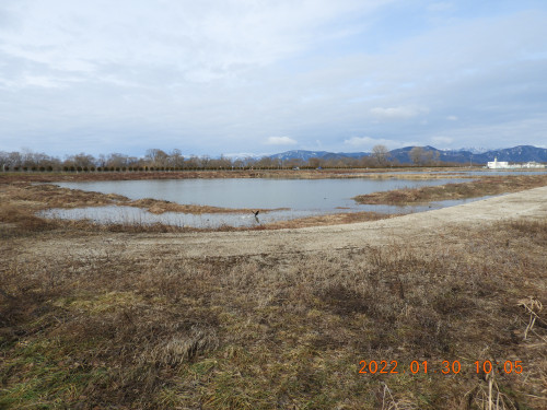 DSCN2047.JPG