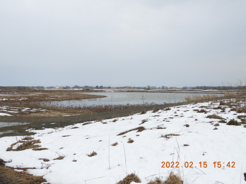 DSCN2502.JPG