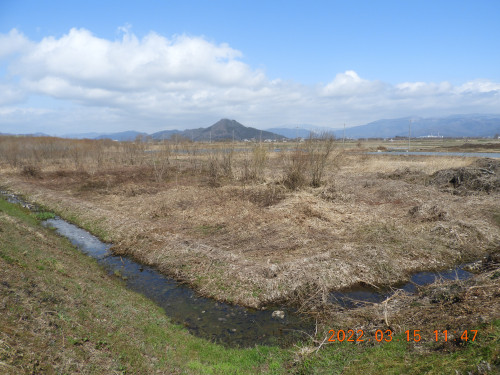 DSCN3047.JPG