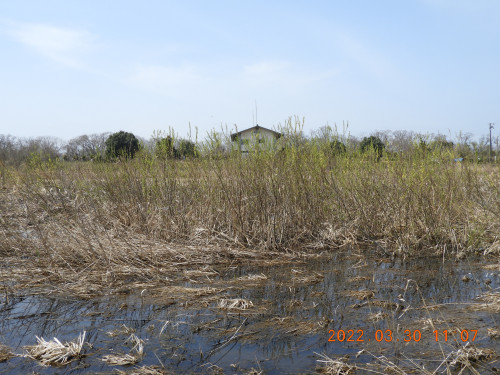 DSCN3312.JPG