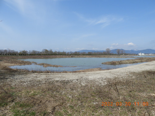 DSCN3313.JPG