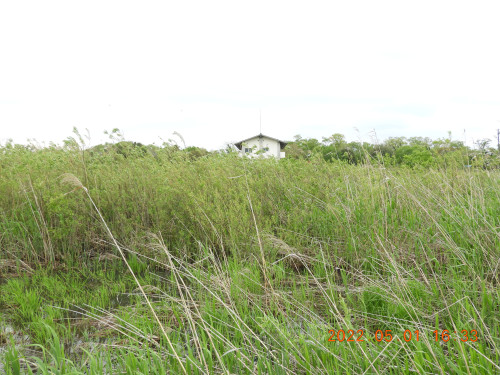 DSCN3731.JPG