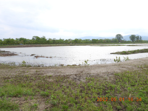 DSCN3732.JPG