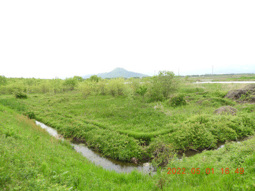 DSCN3745.JPG