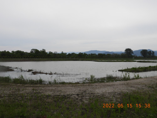 DSCN4399.JPG
