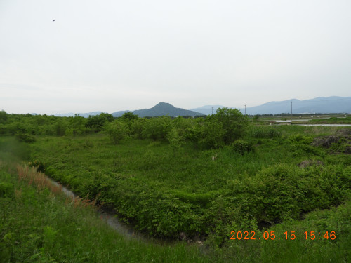 DSCN4402.JPG
