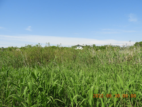 DSCN9349.JPG