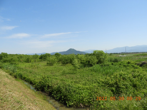 DSCN9359.JPG