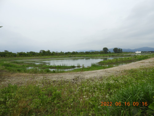 DSCN9658.JPG