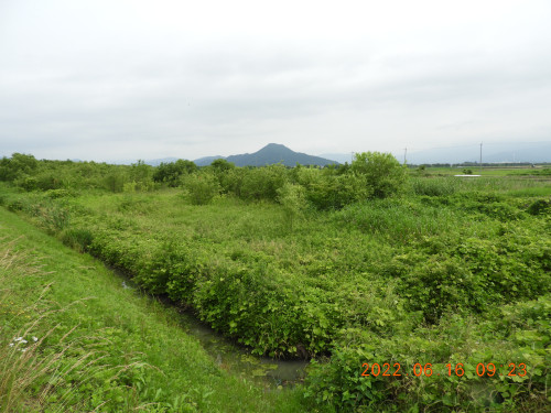 DSCN9661.JPG