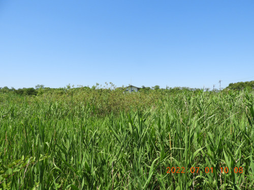 DSCN9831.JPG