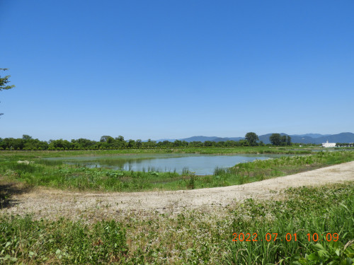 DSCN9832.JPG