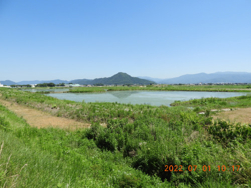 DSCN9839.JPG