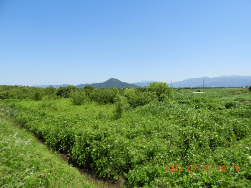DSCN9840.JPG