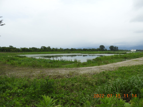 DSCN9949.JPG