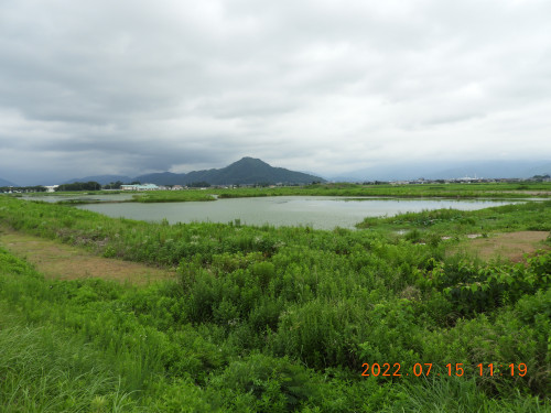 DSCN9951.JPG
