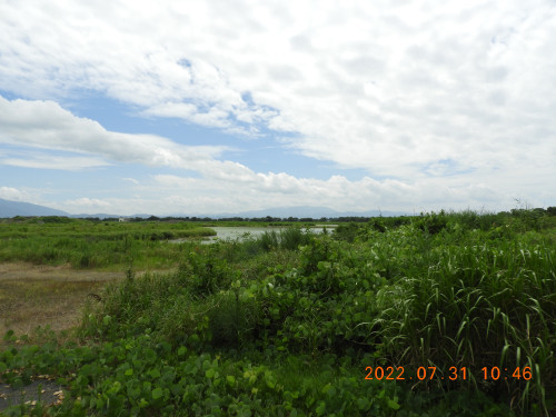 DSCN9849.JPG