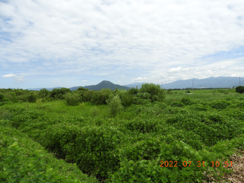 DSCN9853.JPG