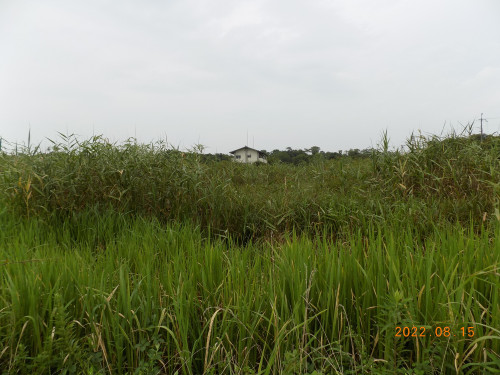 DSCN9954.JPG