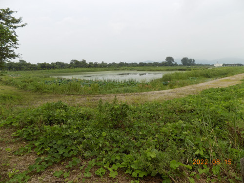 DSCN9955.JPG