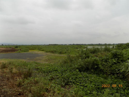 DSCN9956.JPG