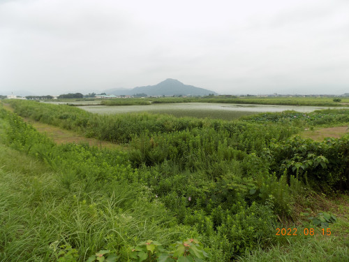 DSCN9957.JPG