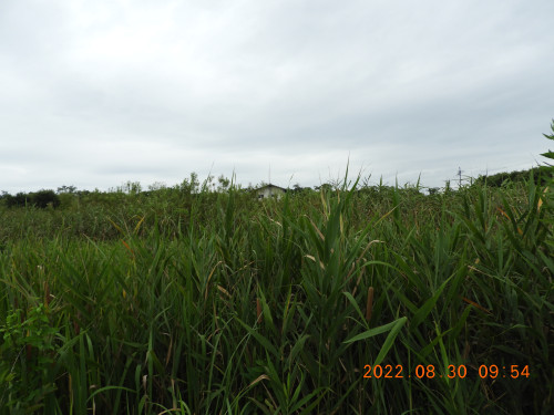 DSCN9896.JPG