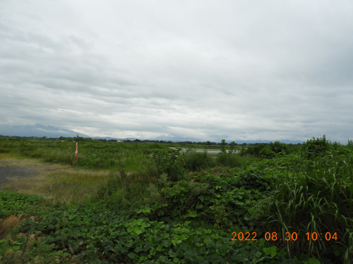 DSCN9900.JPG