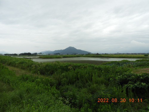 DSCN9904.JPG