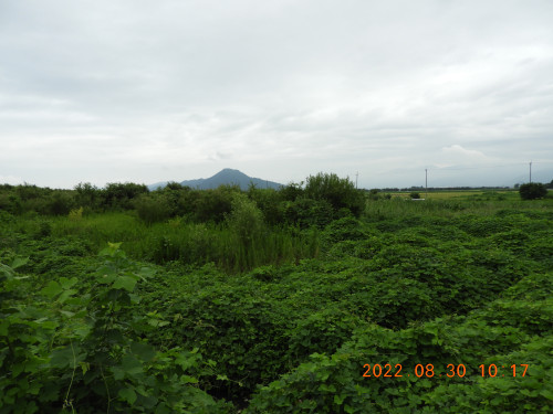 DSCN9905.JPG