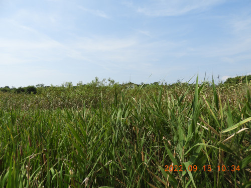 DSCN9971.JPG