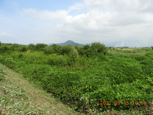 DSCN9976.JPG