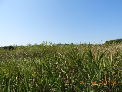 DSCN9915.JPG
