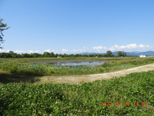 DSCN9917.JPG