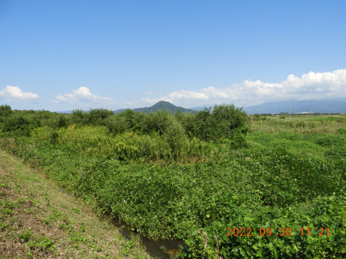 DSCN9927.JPG