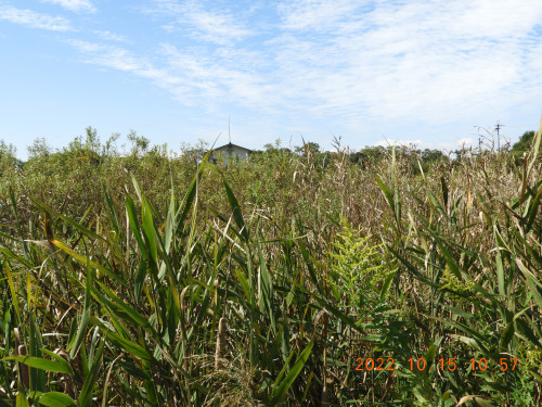 DSCN9986.JPG