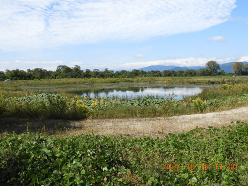 DSCN9987.JPG
