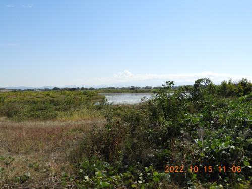 DSCN9989.JPG