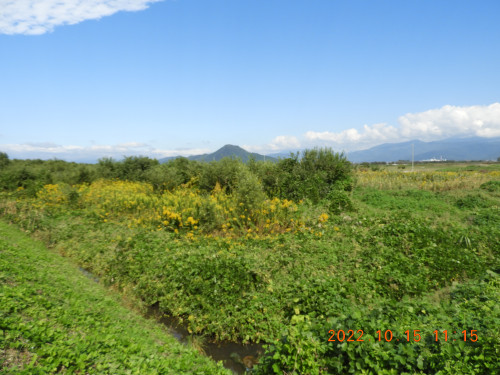 DSCN9993.JPG