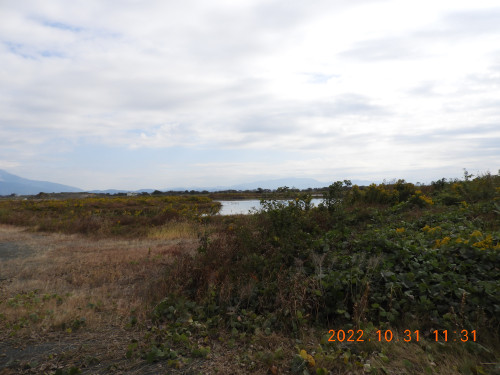 DSCN9965.JPG