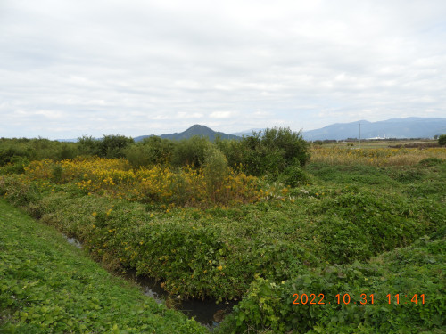 DSCN9969.JPG
