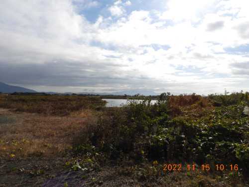 DSCN0138.JPG