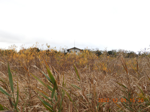 DSCN9995.JPG