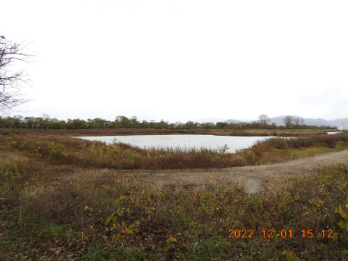 DSCN9989.JPG