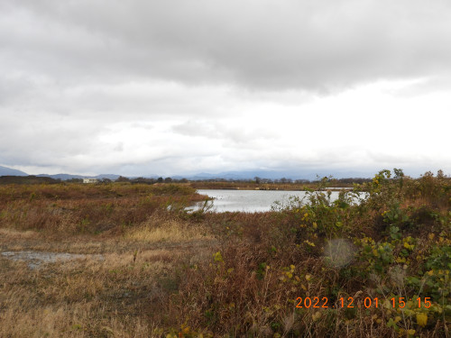DSCN9991.JPG