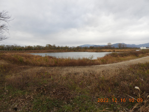 DSCN0525.JPG