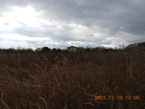 DSCN1975.JPG